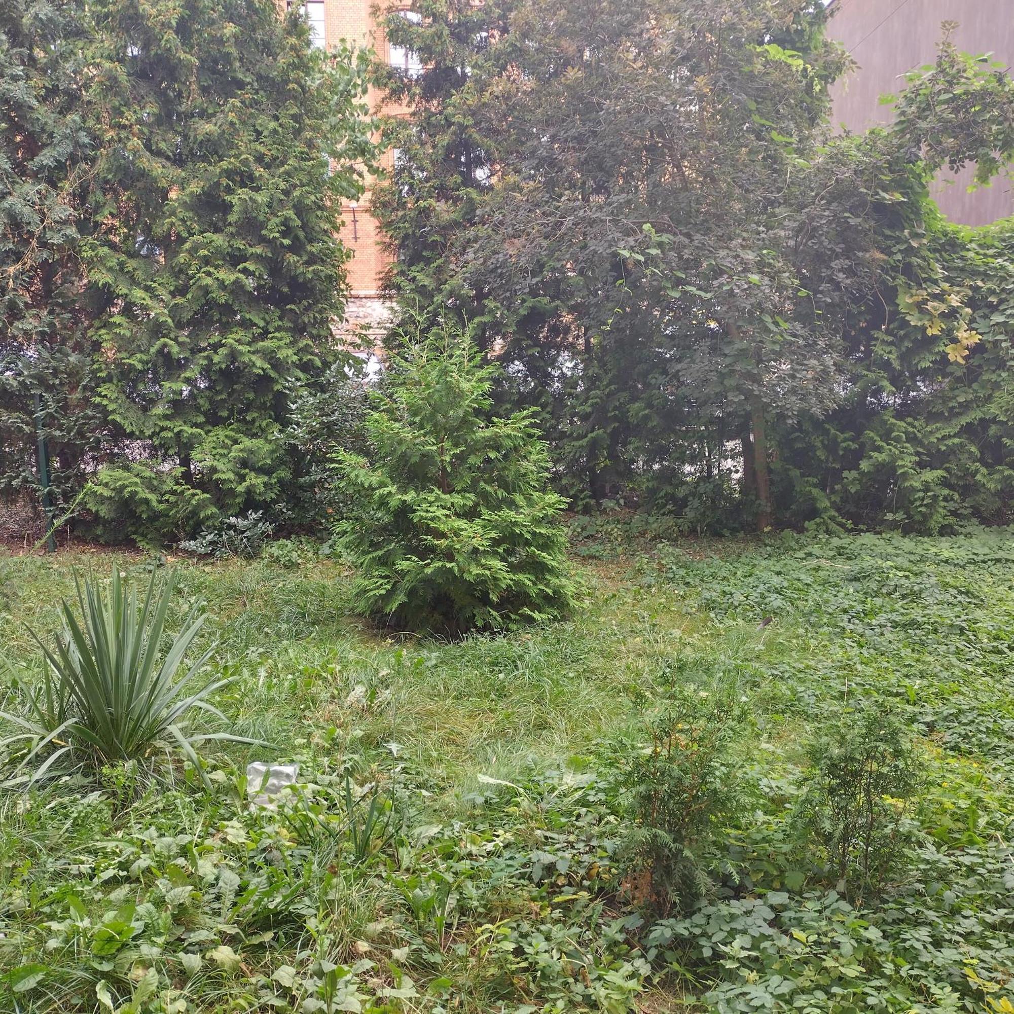 Apartament Przedzamcze Torun Luaran gambar